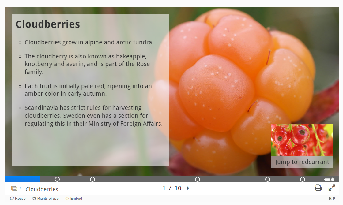 Tworzenie interaktywnych ćwiczeń - obraz 1