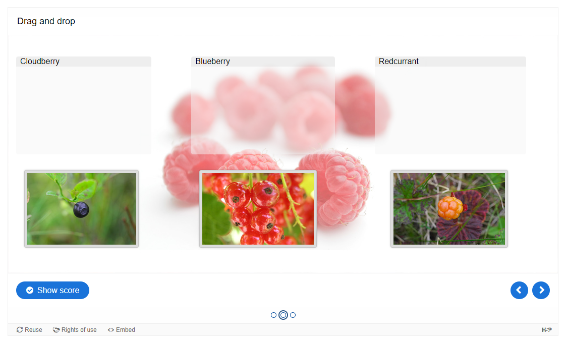 Tworzenie interaktywnych ćwiczeń - obraz 3